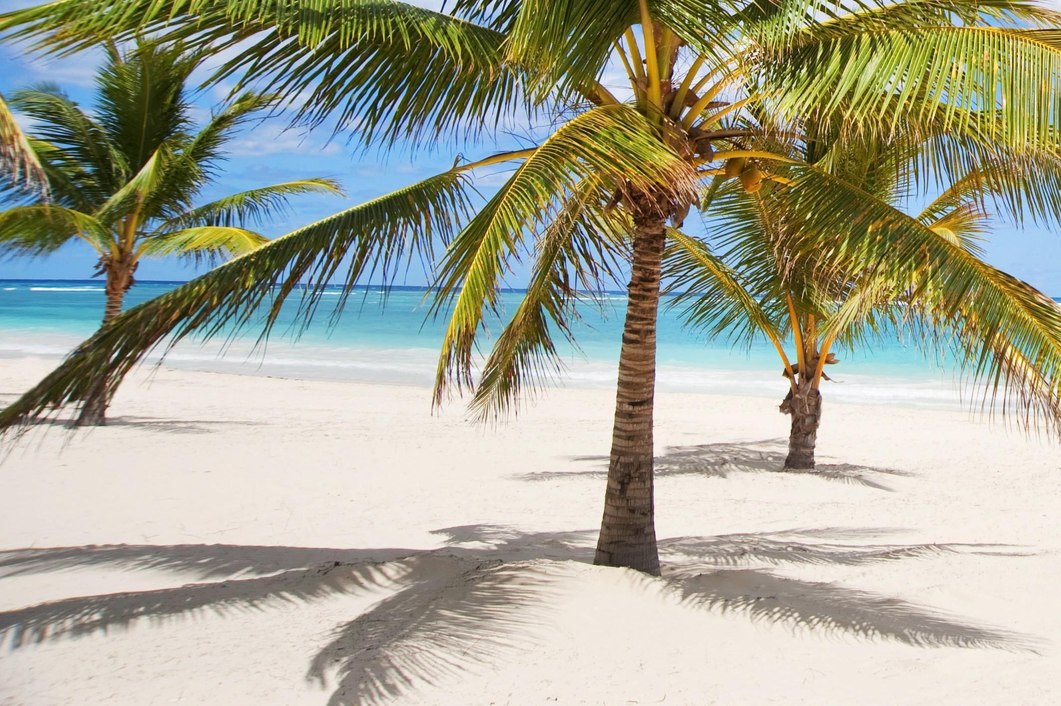 Karibo Punta Cana Exteriör bild