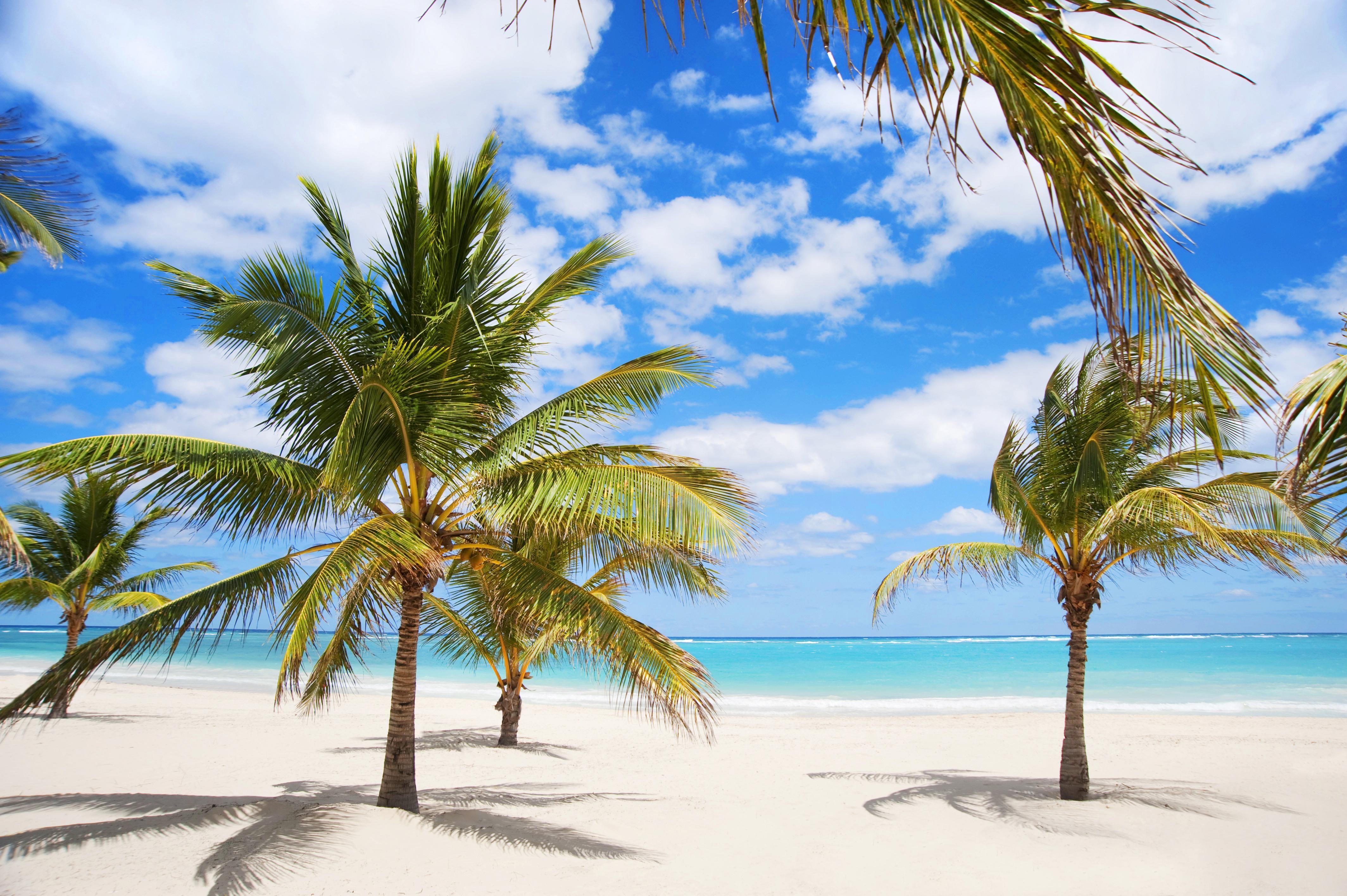 Karibo Punta Cana Exteriör bild
